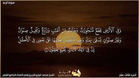 تلاوة مباركة من أول #سورة_الرعد لفضيلة الشيخ #محمد_فوزي_البربري إمام القبلة بالجامع الأزهر #تلاوات