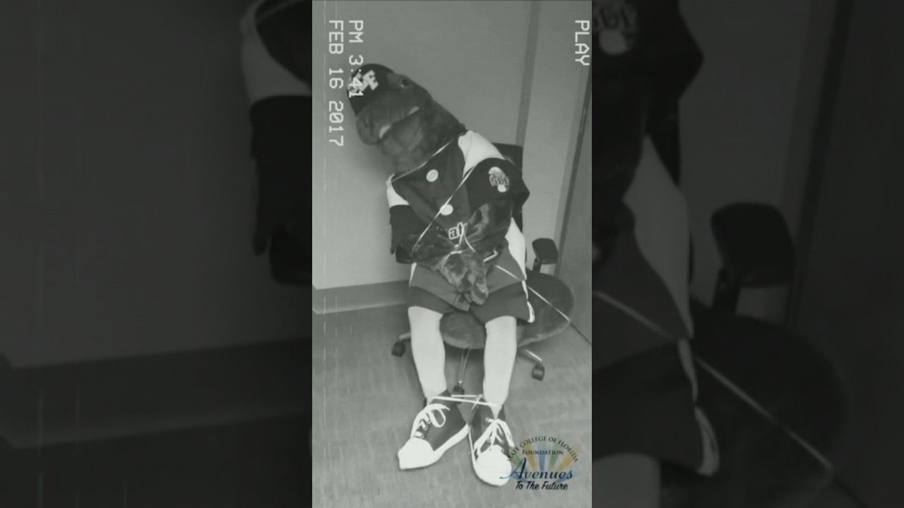 collage #MaverickMIA Security Footage