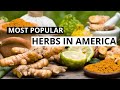 Top 15 Medicinal Plants The Native Americans Used On A Daily basis | Herbal Plants in America