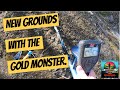 Gold Monster 1000 searching new grounds