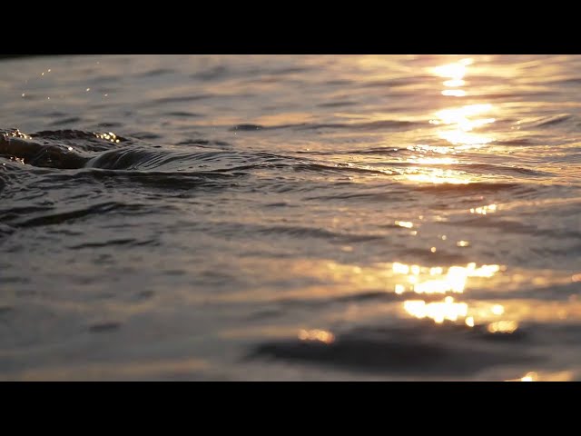 Sol - Sundown Set (Official Video)