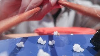 nori's perspective of making sushi