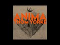 Thom Yorke - Dawn Chorus (432hz)