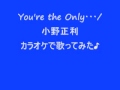 You're the Only・・・/小野正利 カラオケで歌ってみた♪