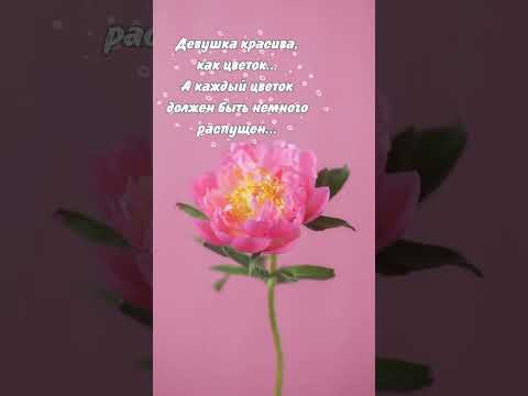 #цветок #цитаты #юмор