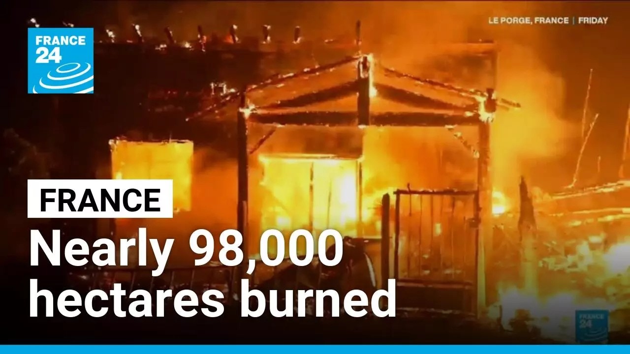 Nearly 98,000 hectares burned in France, a 'historic record' says government • FRANCE 24 English