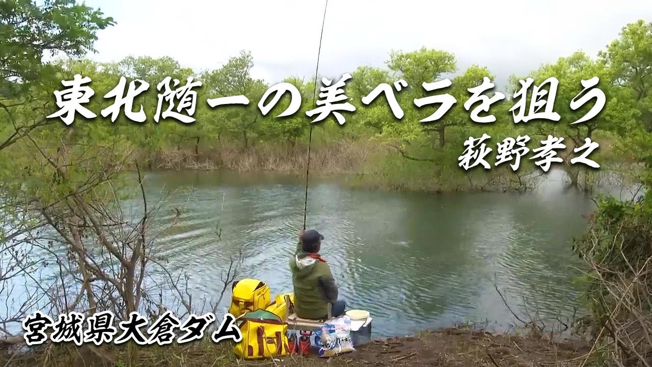 東北随一の美ベラを求めて。萩野孝之が攻略する大倉ダム 2/2 『ヘラブナギャラリー』【釣りビジョン】