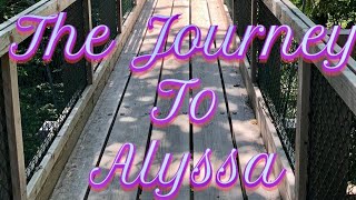 The Journey To Alyssa (A transition video)