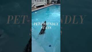 Pet-friendly Stay at Scenic 30A