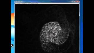 ImageJ: Make Montage