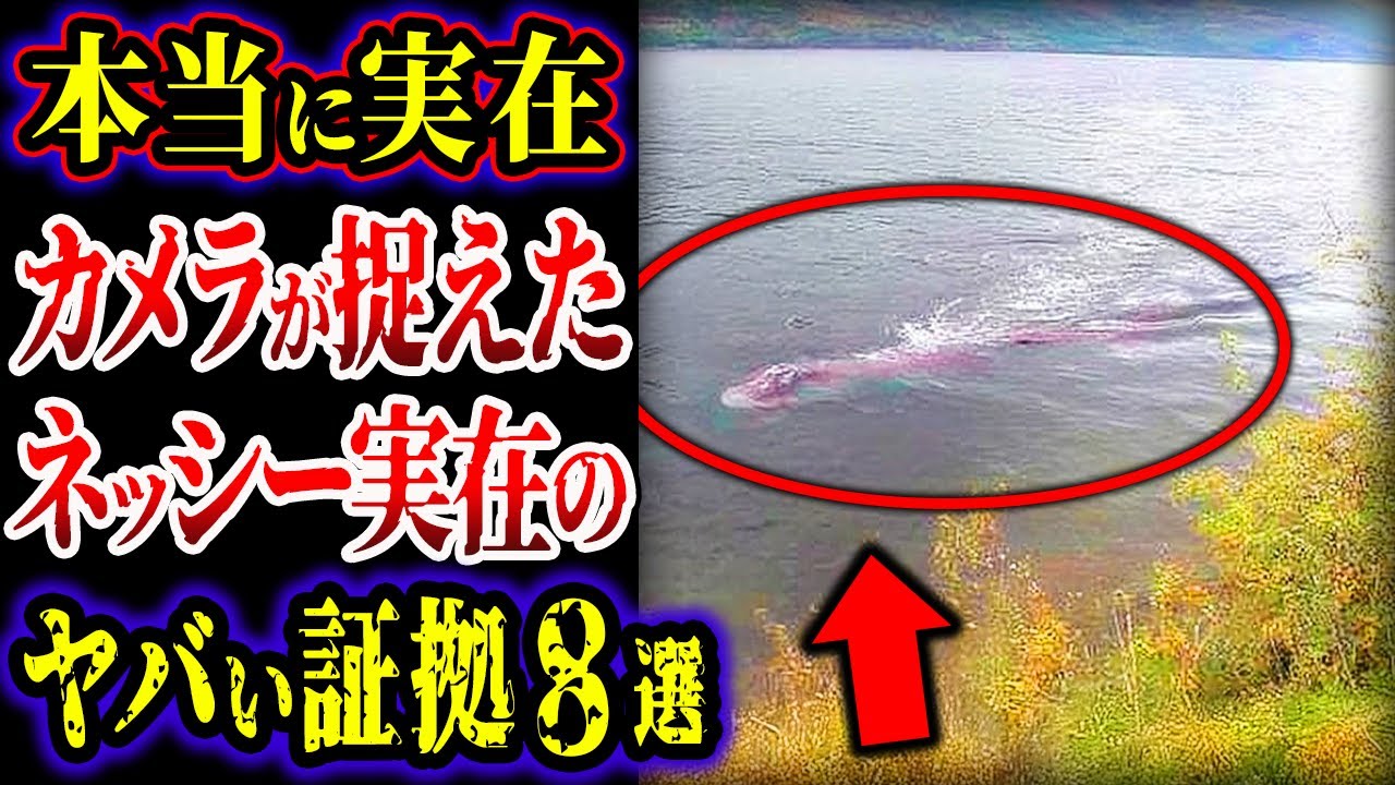【ゆっくり解説】深海でネッシーを捉えた！？...ネッシー亜種は実在した...カメラが捉えたネッシー実在の証拠８選【UMA・未確認生物】【総集編】