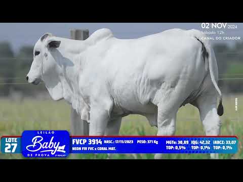 LOTE 27   FVCP 3914
