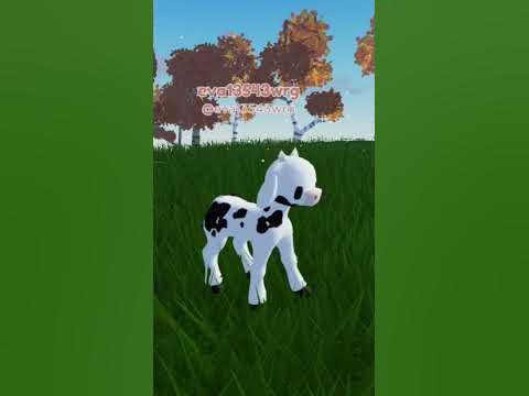 польская корова - YouTube
