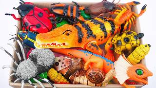 121 Mins ZURU Robo Alive Insects ASMR 🦎 Crocodile, Lizard, Spider, Worm | Review Toys Video