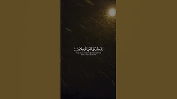 #القارئ_صلاح_الدين_إبن_محمد❤️ #وتوكل_على_الحي_الذي_لايموت💛🌻 #قران_كريم_ارح_سمعك_وقلبك♡