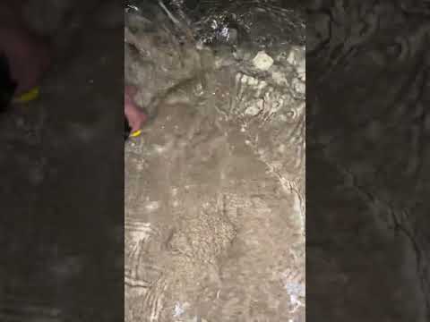 FOR YOU Music Rock California Dubai