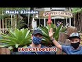 Jungle Navigation Co. Ltd. SKIPPER CANTEEN // Dinner in Magic Kingdom // Food and Theme Review