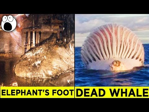 Top 10 Alarming Discoveries You'll Be Glad You Didn't Make