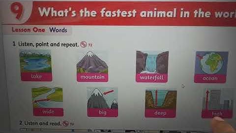 HOMEWORK - UNIT 9 LESSON 1 - FAF 3 + OXFORD PHONICS - VIDEO 3