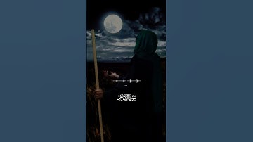 #سورة_القصص #ياسر_الدوسري #ارح_قلبك #القرآن_الكريم
