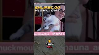 My Cats Begs On Livestream