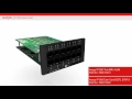 No 61 Digital Station8 + Bri Card in 2nd Slot