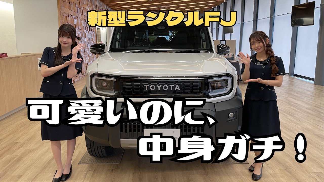 New Land Cruiser FJ] Cute but serious inside An honest review
