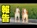 最近、動画投稿ができなかった理由について