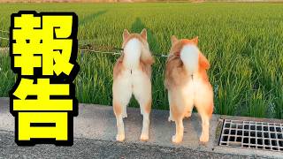 最近、動画投稿ができなかった理由について