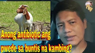 Dok Ano Po Ang Dapat I Inject Na Gamot Sa Inahing Kambing Na Buntis Kc May Ubot Sipon ? Vet