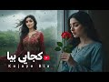 Kojaye Bia New Afghan 2026 Song Melody World آهنگ جدید کجایی بیا انتظار تو ام 