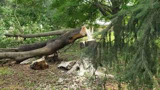 Sizwheel Did Not Engage