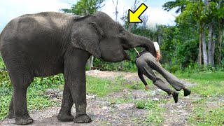 Elephant Recognized Vet Who Saved Him 12 Years Ago... Just Watch What It Did Next! by Incredible Stories 43,670 views 8 days ago 9 minutes, 52 seconds