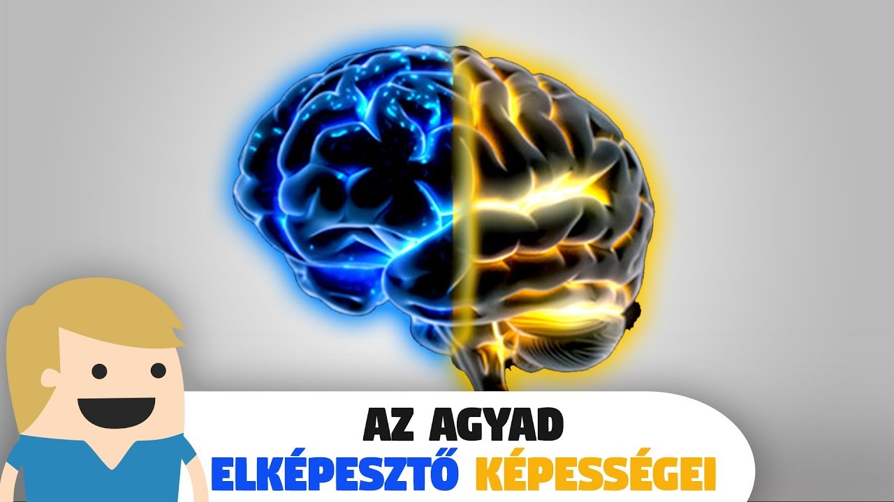 agy- és látáskezelés)