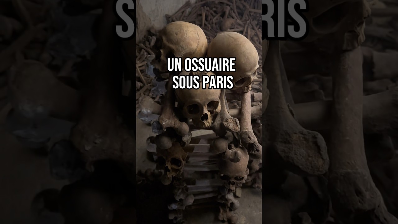 Un ossuaire sous Paris