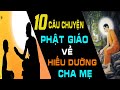 THANH NIÊN NGHÈO NUÔI MẸ | 10 Câu Chuyện PHẬT GIÁO Về HIẾU DƯỠNG CHA MẸ Nghe 1000 Lần Vẫn Không Thừa