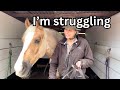 The reality of owning horses in the uk right now