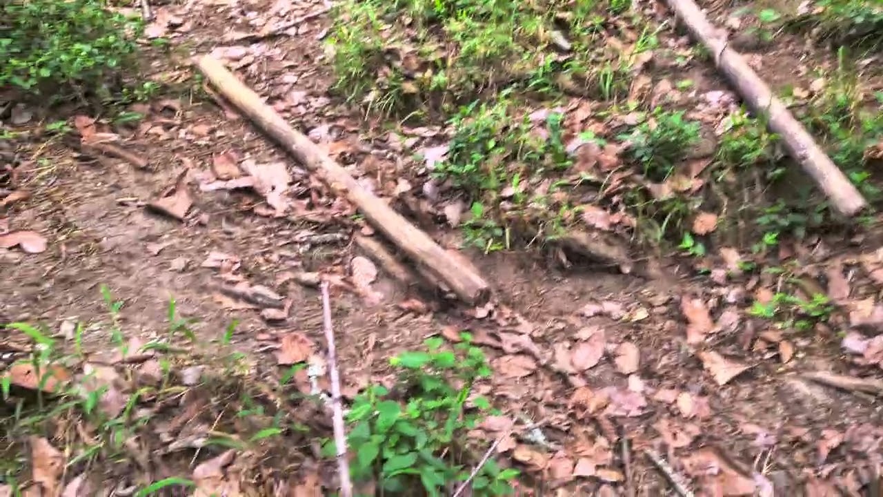 CAMINATÁS Y AVENTURAS AL EXTREMOSALUDO PARA TODOSEN ESTE HERMOSO DIA Y SUSCRIBETE