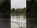 Первая брачная ночь 😂 #лесной #кабан #fishing #carp #природа #животные #nature #new #gaming #funny