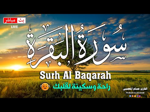 سورة البقره كامله  قرآن كريم بصوت جميل لتحصين المنزل وجلب البركه     