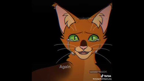 Thumbnail of Smudge Is Evil! (Bloodclan)