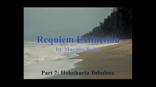 Requiem Extinction - part 7: Holothuria Tubulosa
