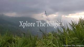 The Dramatic Nilgiris Xplore The Nilgiris