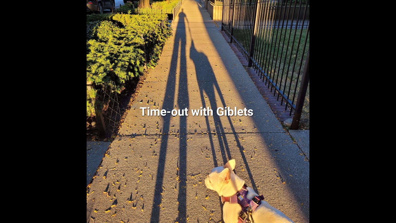 Time-out with Giblets 1.18.26