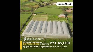 How Brij Mohan Rana Earns ₹21.5 Lakhs with Colour Capsicum in 1 Acre | Agriplast Polyhouse Farming