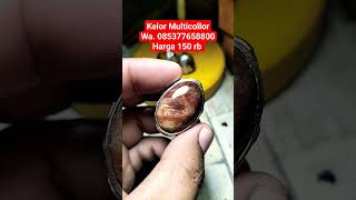 Fosil Kelor Multiwarna