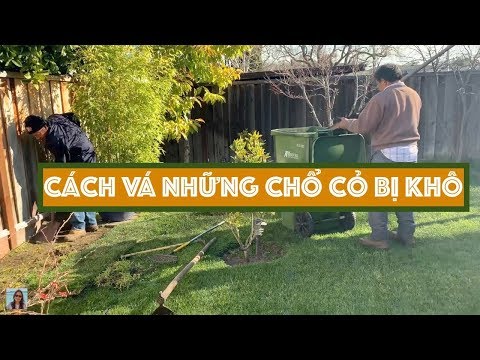 Video: Thiết Bị Và Dụng Cụ Chăm Sóc Cỏ