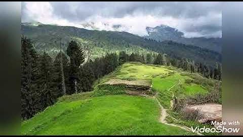 د/الشيخ مصطفى الجكني ماتيسر من سورة الأنبياء