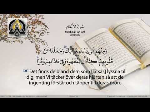 Koranen på svenska Surah 006 al An'am   Boskap   #koranenpåsvenska   #islamse   #koranen
