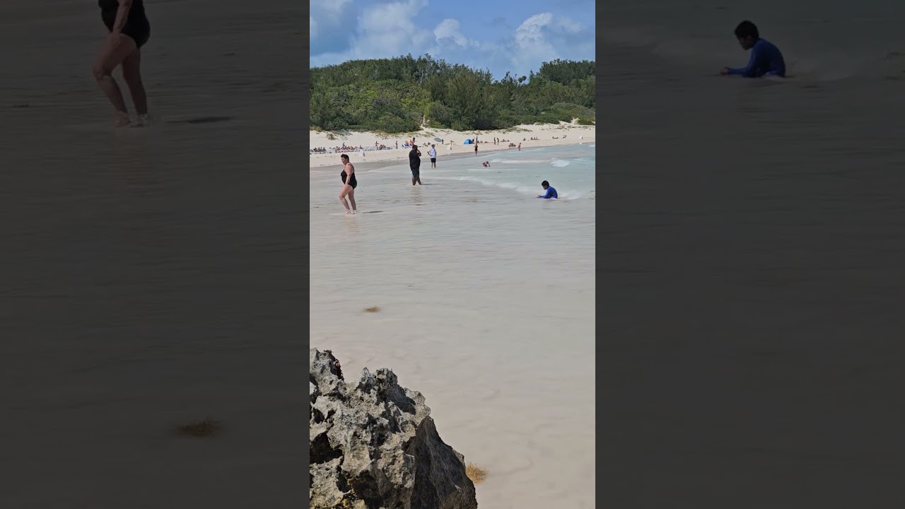 Bermuda beach pink sand